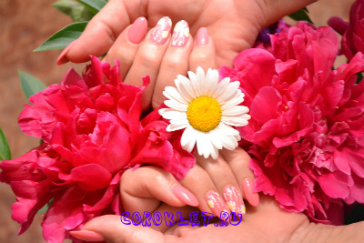 Дизайн ногтей цветы фото